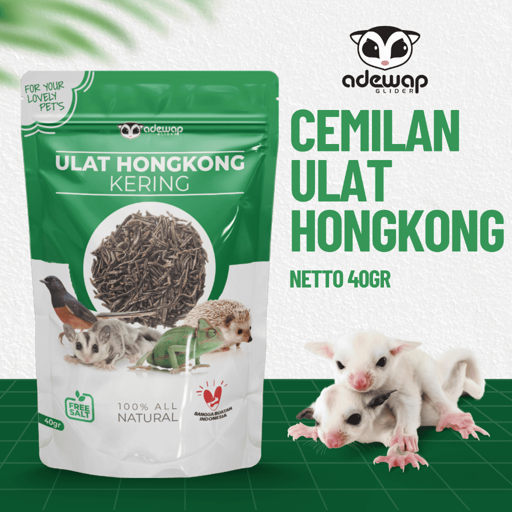 ADEWAP GLIDER Ulat Hongkong Kering 40gr Dried mealworm Sugar Glider