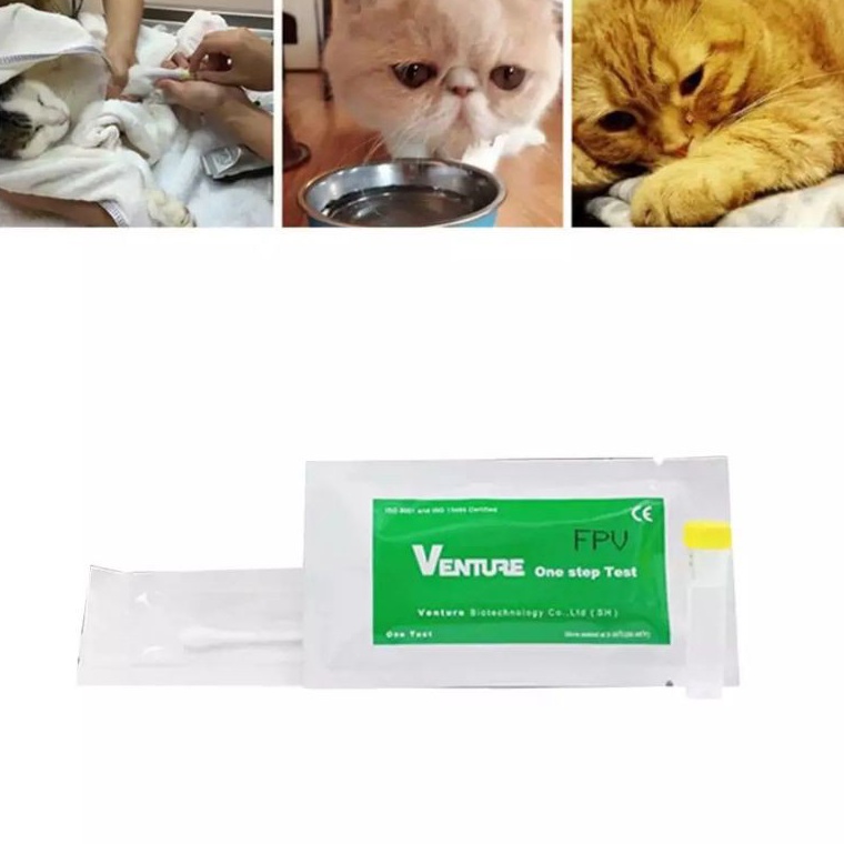 KODE B35R FELINE PANLEUKOPENIA FPV FELINE CORONA VIRUS FCoV GIARDIA