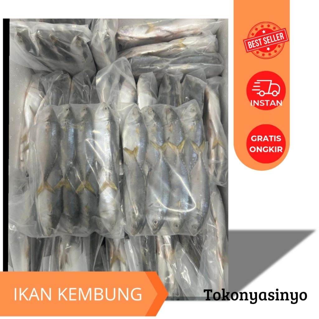 

IKAN KEMBUNG FRESH DI BEKUKAN 500GR
