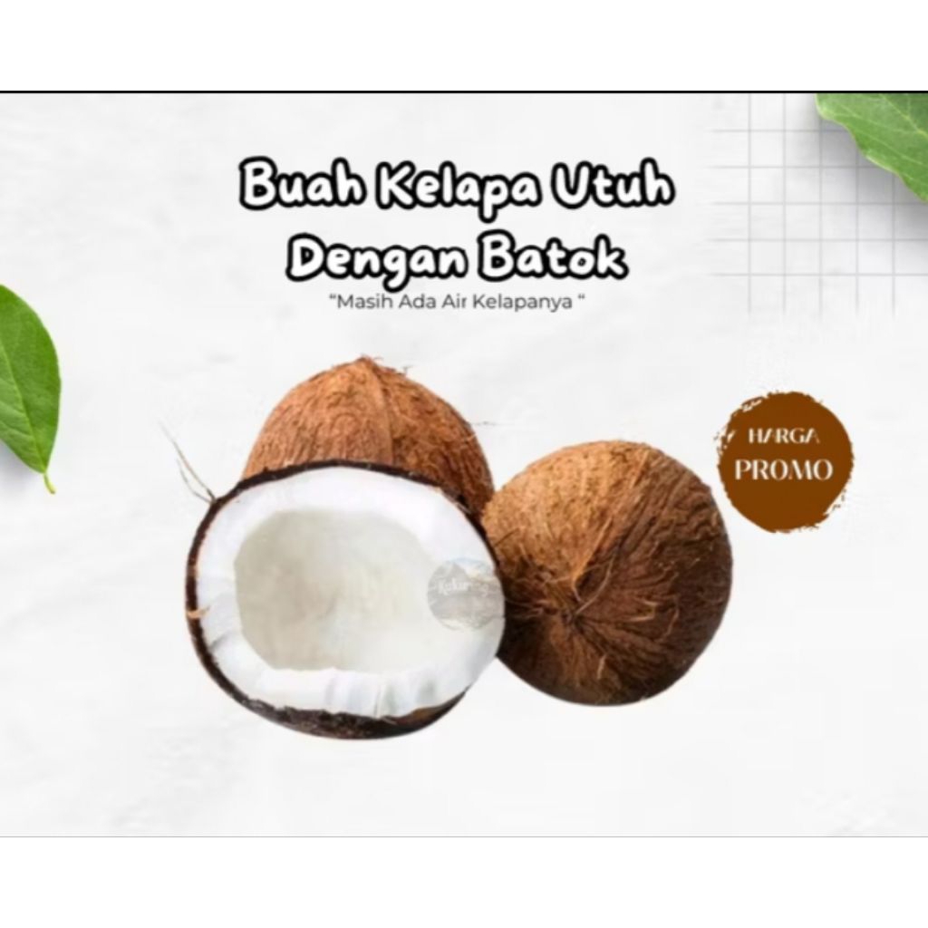 

Terbaru 1pcs buah kelapa utuh untuk santan dll