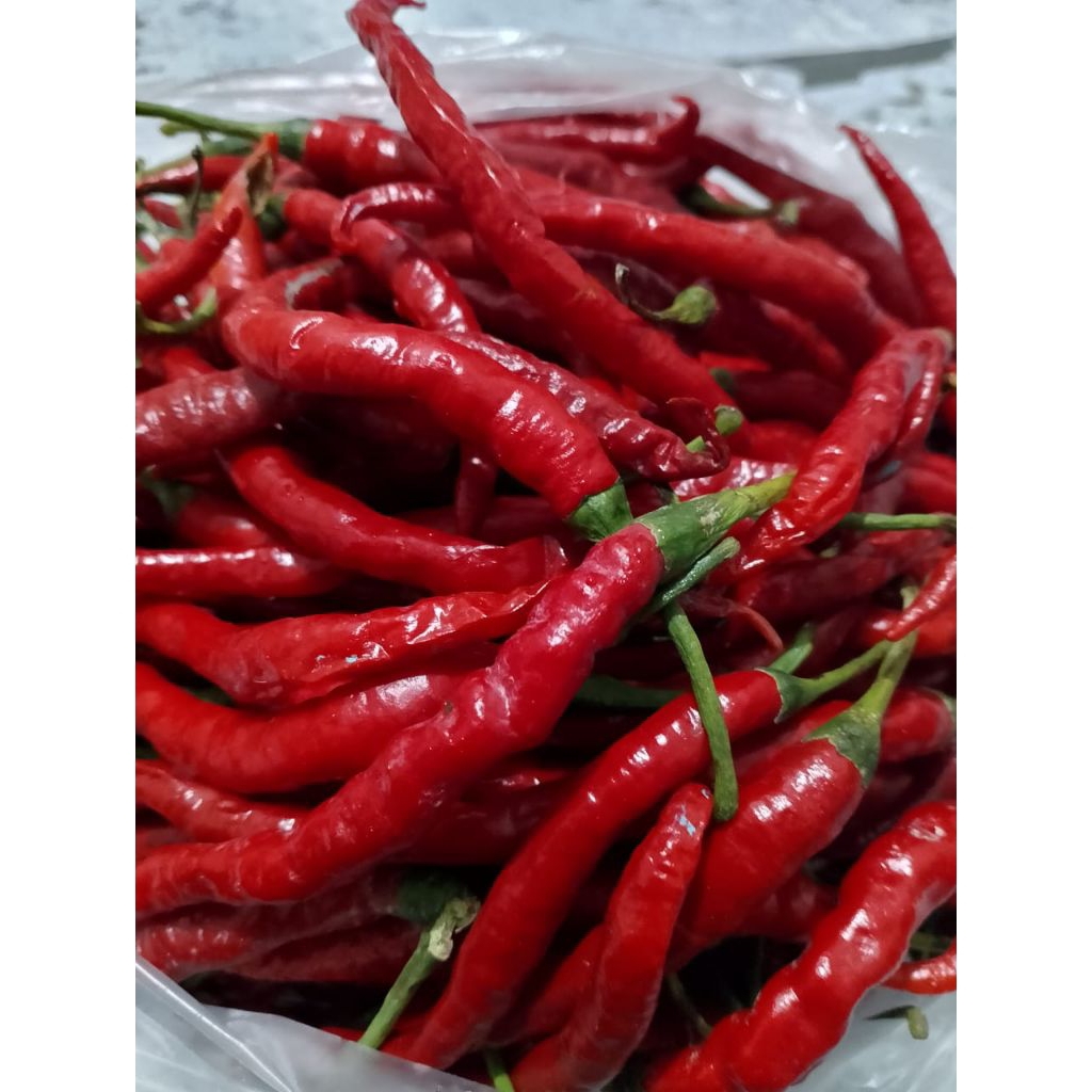 

Cabe merah keriting segar padang aro 250gr-1000gr