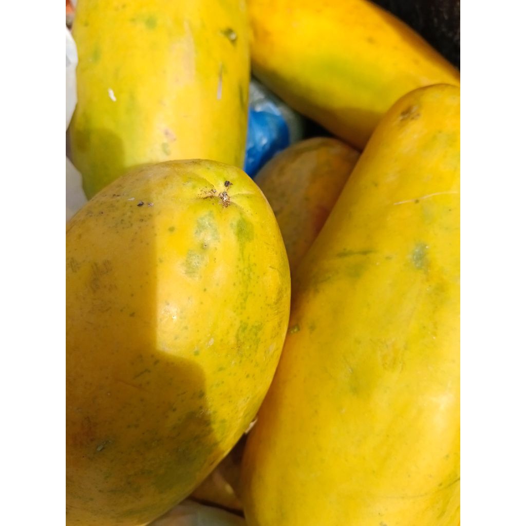 

Pepaya Manis Kiloan Pilih di Variasi