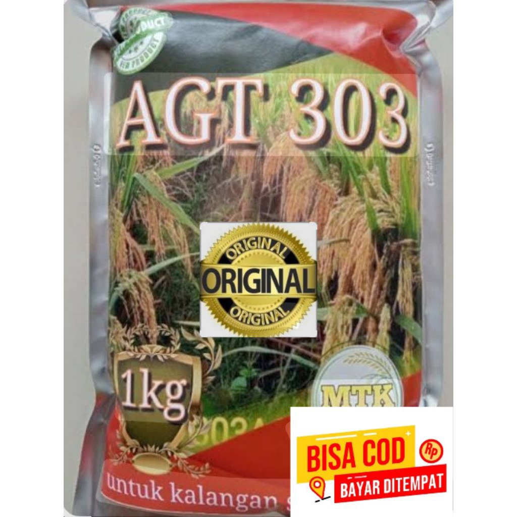 benih padi AGT303