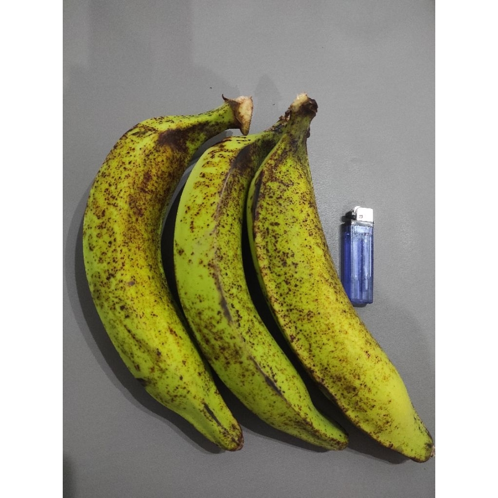 

1kg pisang tanduk dari lereng gunung murya (JUMBO) ISI 3