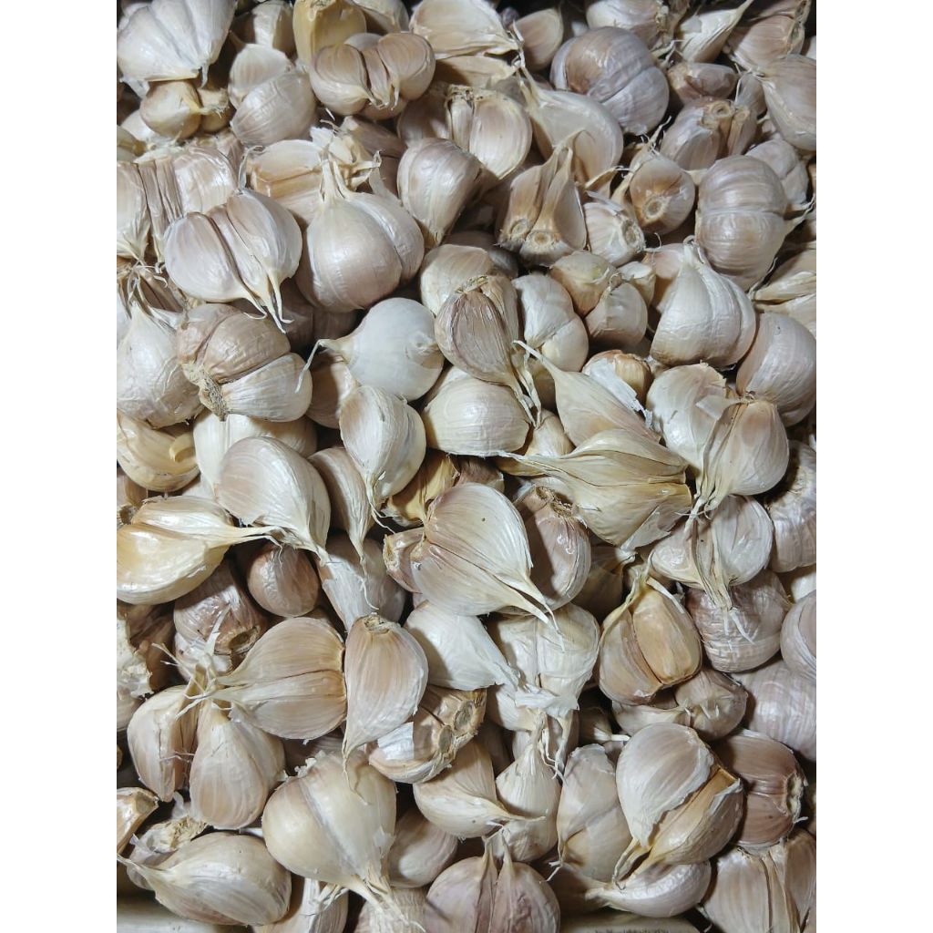 

Bawang Putih Kating 500 gram