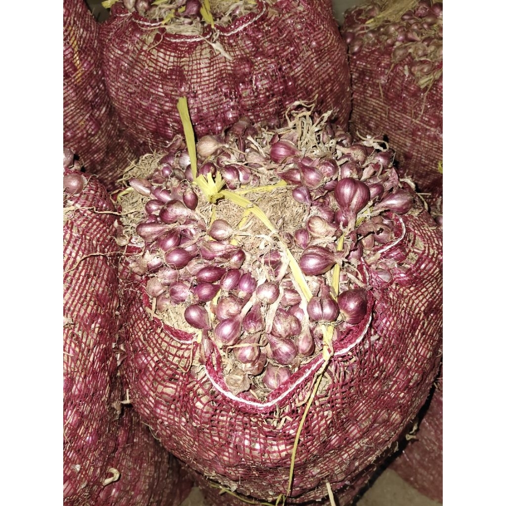 

(1000) bawang merah probolinggo daunan (bukan untingan) (L)