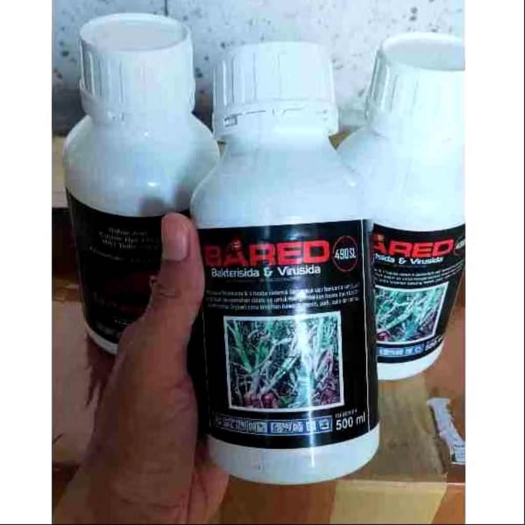 Bared Bakterisida dan virusida pembasmi lodoh ori
