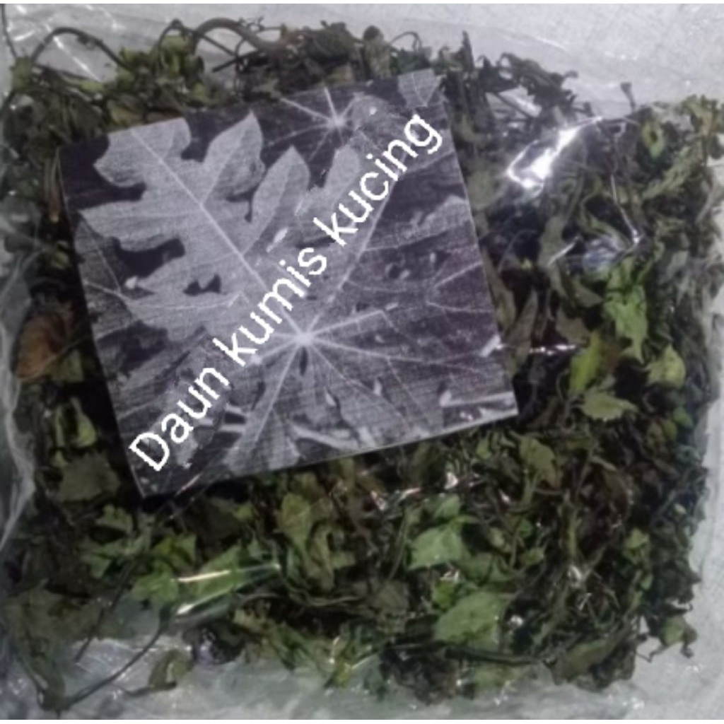 

Daun kumis kucing kering asli seratus persen asli dan murni