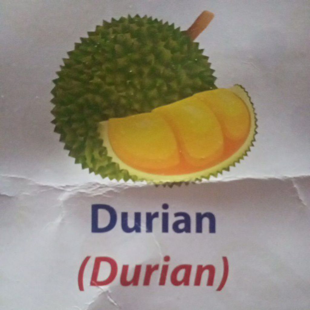 

jurian Mangkau
