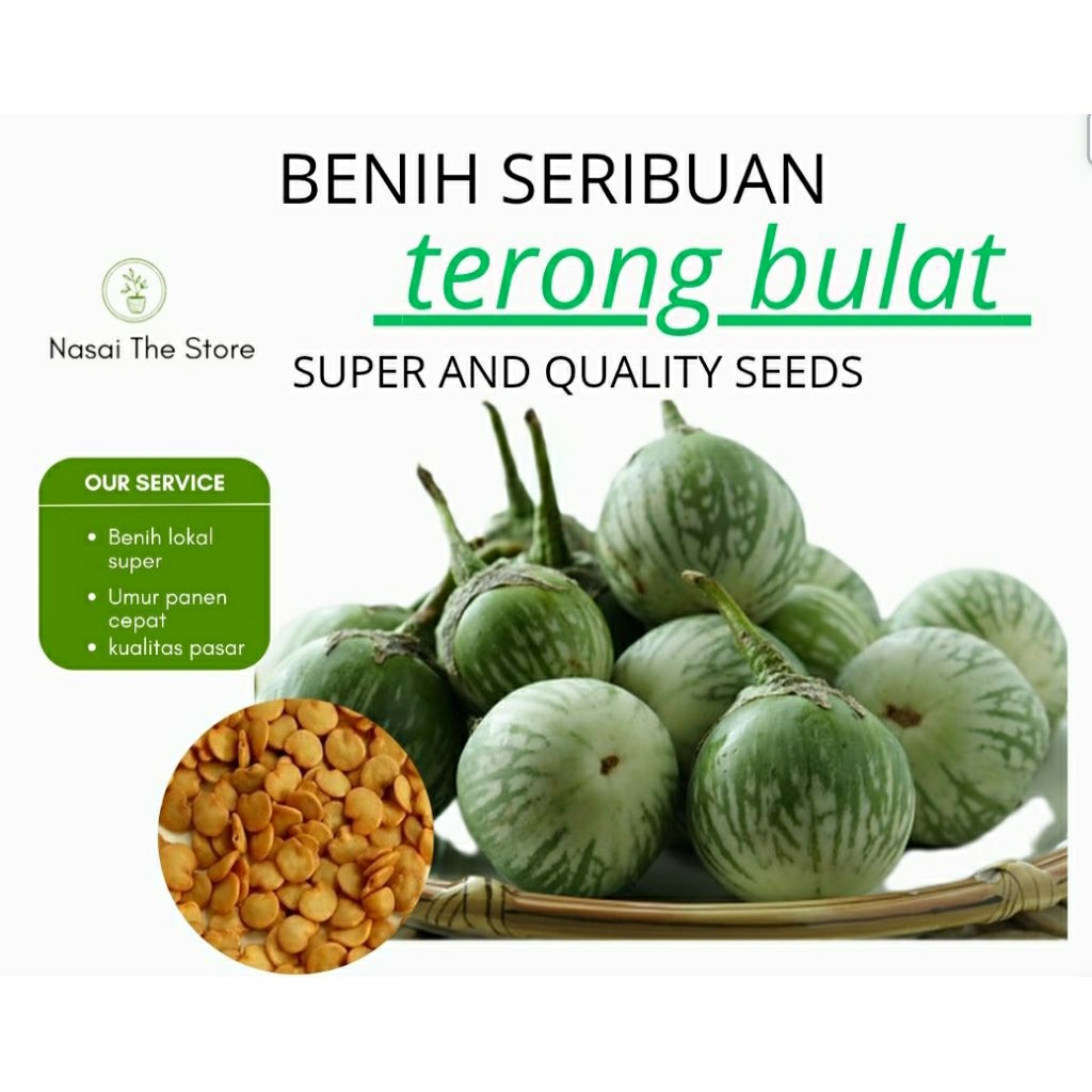 

biji terong(terong lokal)berkualitas