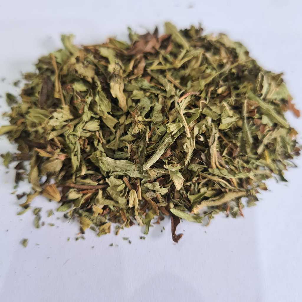 

Daun Stevia Kering Alami Pemanis Sehat Tanpa Kalori ( 20g / 50g / 100g )