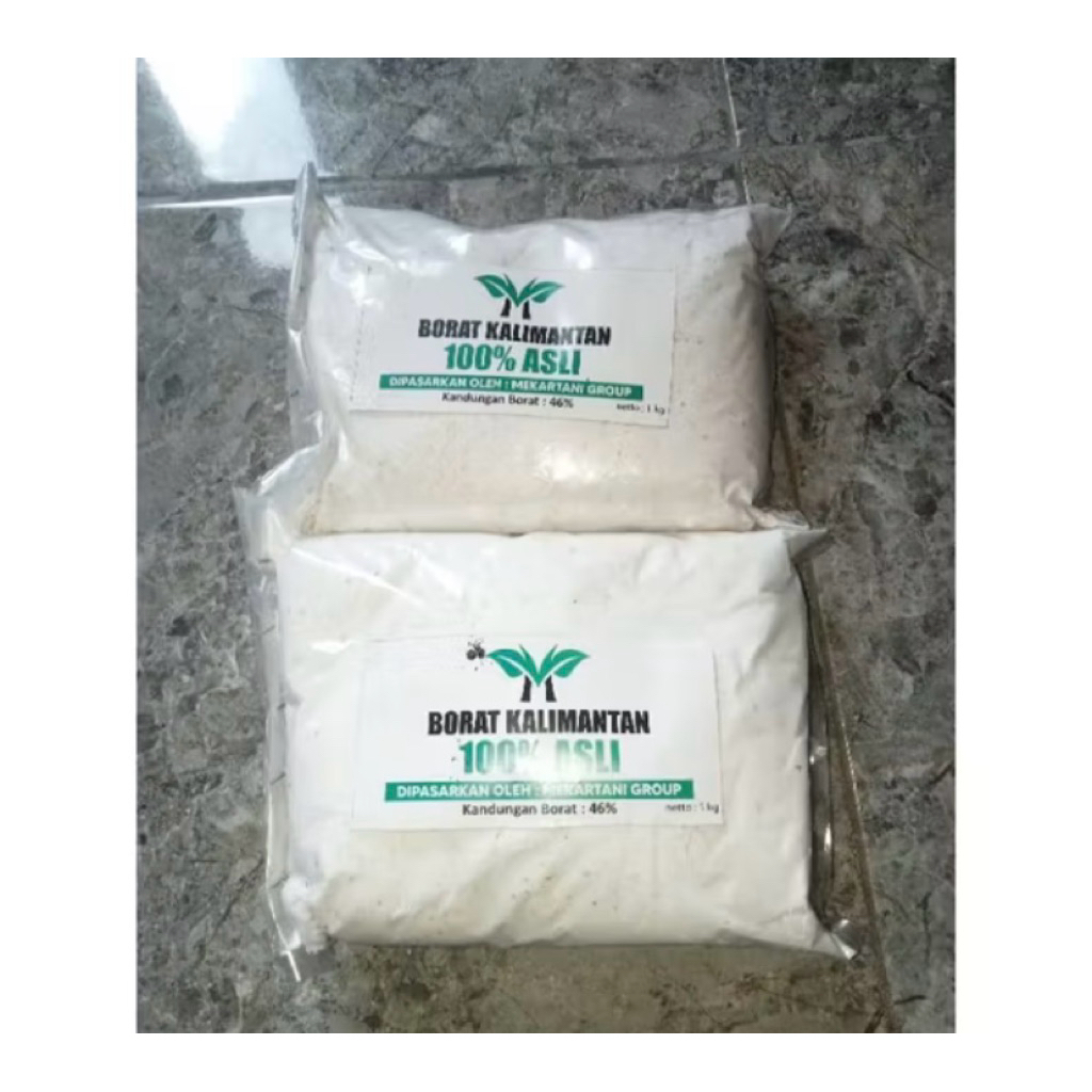 BORAT KALIMANTAN