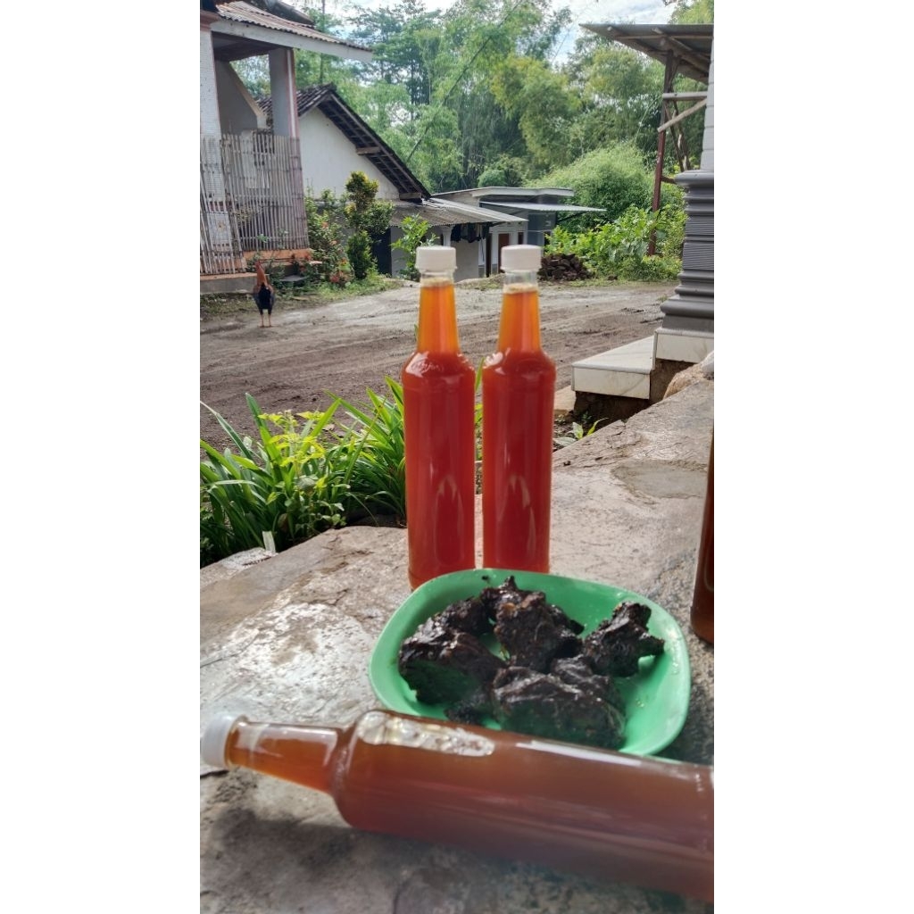 

madu kelanceng kemasan 500 mili