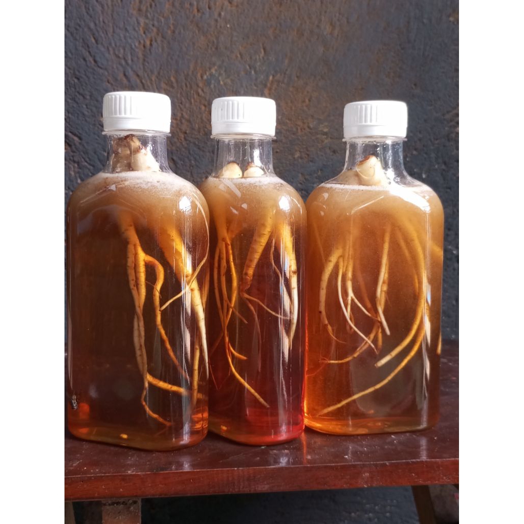 

madu murni + ginseng