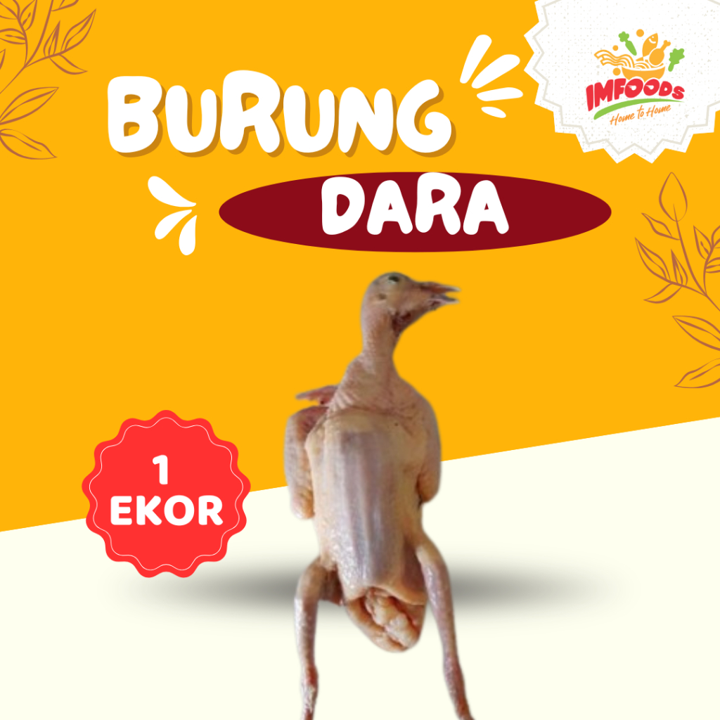

Burung dara frozen/Burung dara beku isi 1 ekor/Frozen food burung dara /burung dara mentah / Imfoods