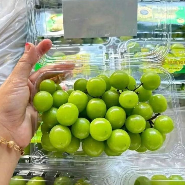 

ANGGUR SHINE MUSCAT MANIS GARING 500gr