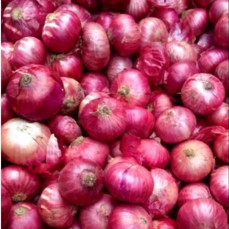 

Bawang merah lokal ukuran besar full sorti kwalitasr super @1kg