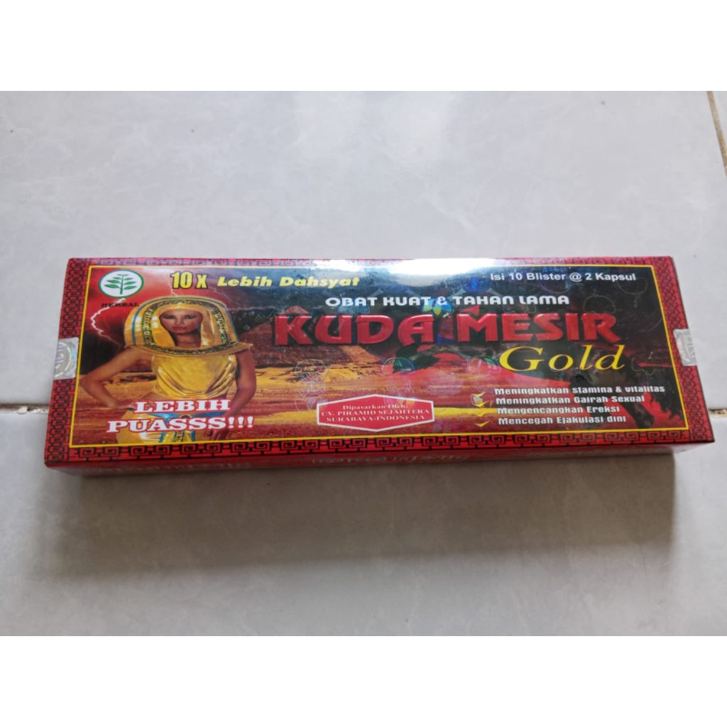 kuda Mesir gold