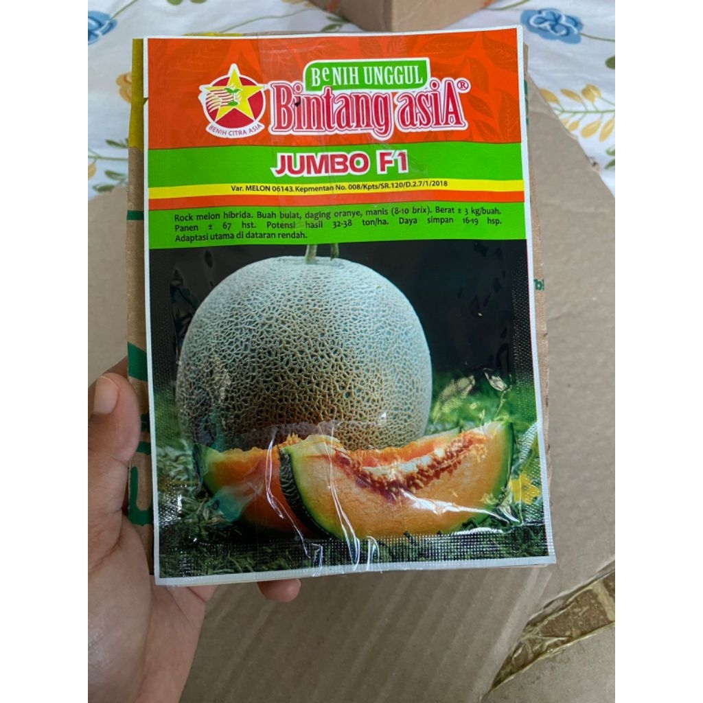 Benih Melon Orang Jumbo f1 Bintang Asia ( isi 800btr biji warna putih) exp 2027