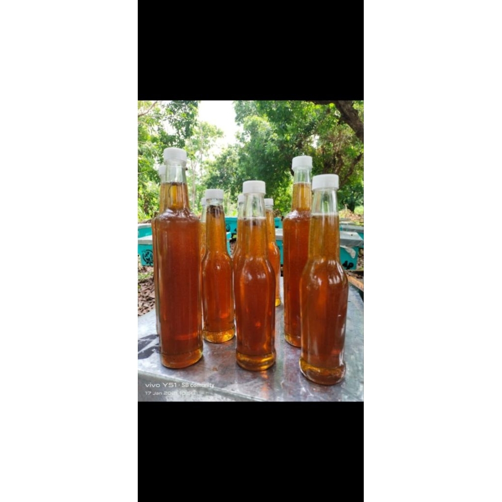 

madu murni