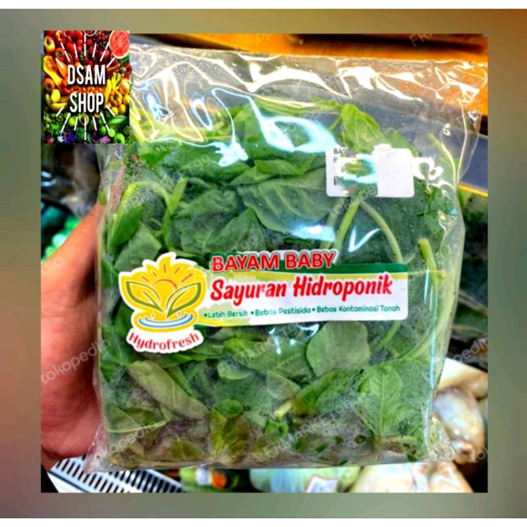 

Bayam Baby Hidroponik / bayam hijau fresh / sayur bayam / pack 150 gr-+