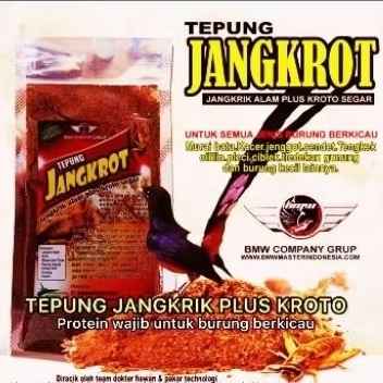 Tepung Jangkrot jangkrik alam plus kroto segar