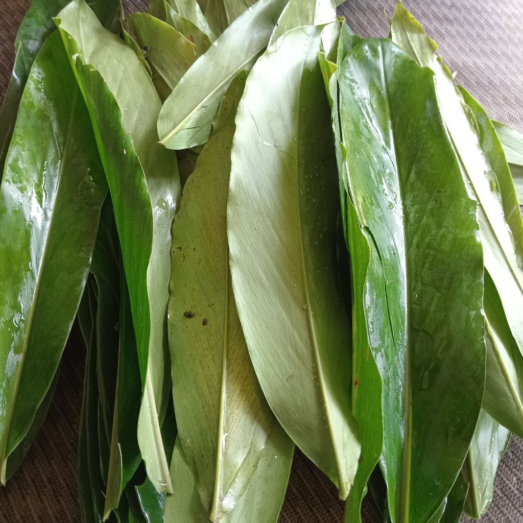 

Jual daun walngbumbu segar petik lang sung dari kebun 250 g
