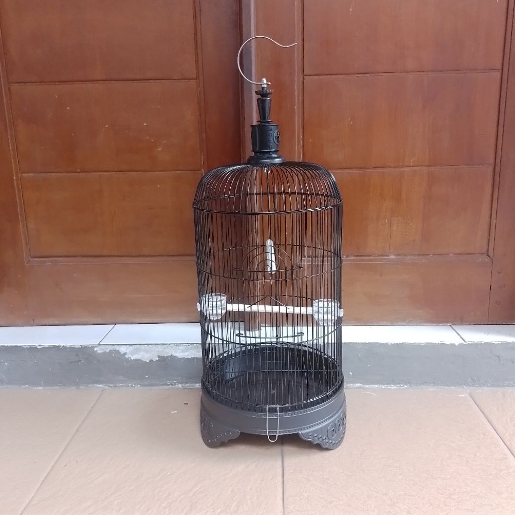 kandang burung pleci
