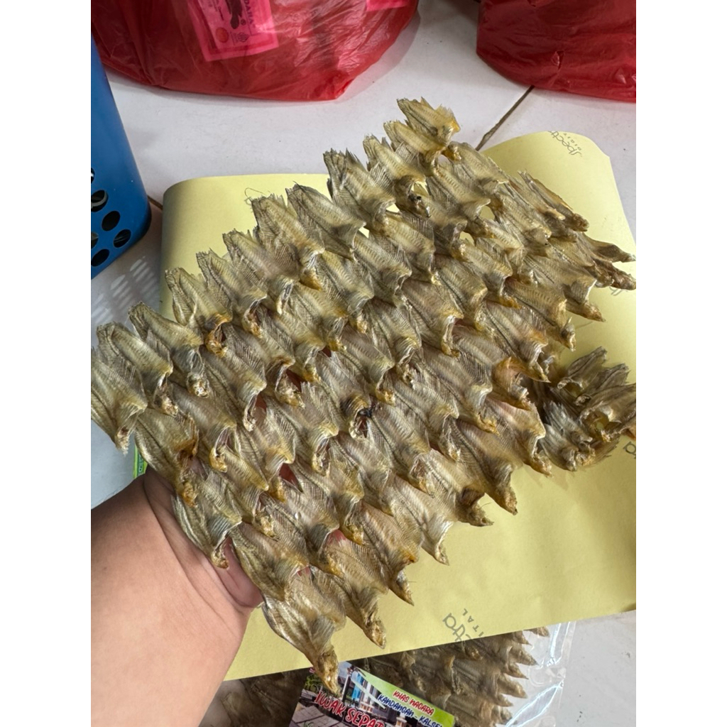 

Iwak Karing Sapat Tikar Khas Nagara
