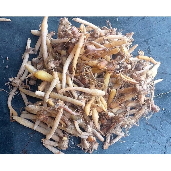 

1 Kg Temu Kunci/ 500 Gram Temu Kunci Segar
