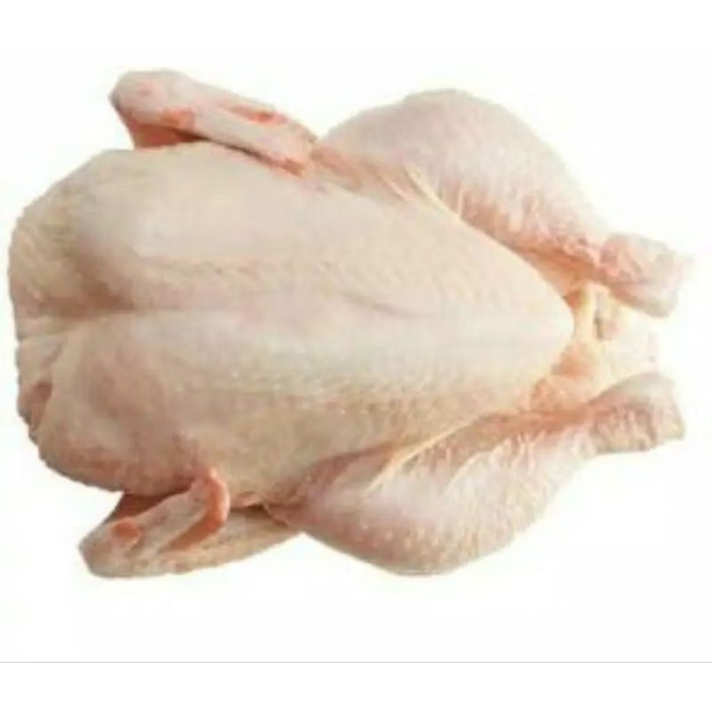 

Ayam Segar Utuh Kecil