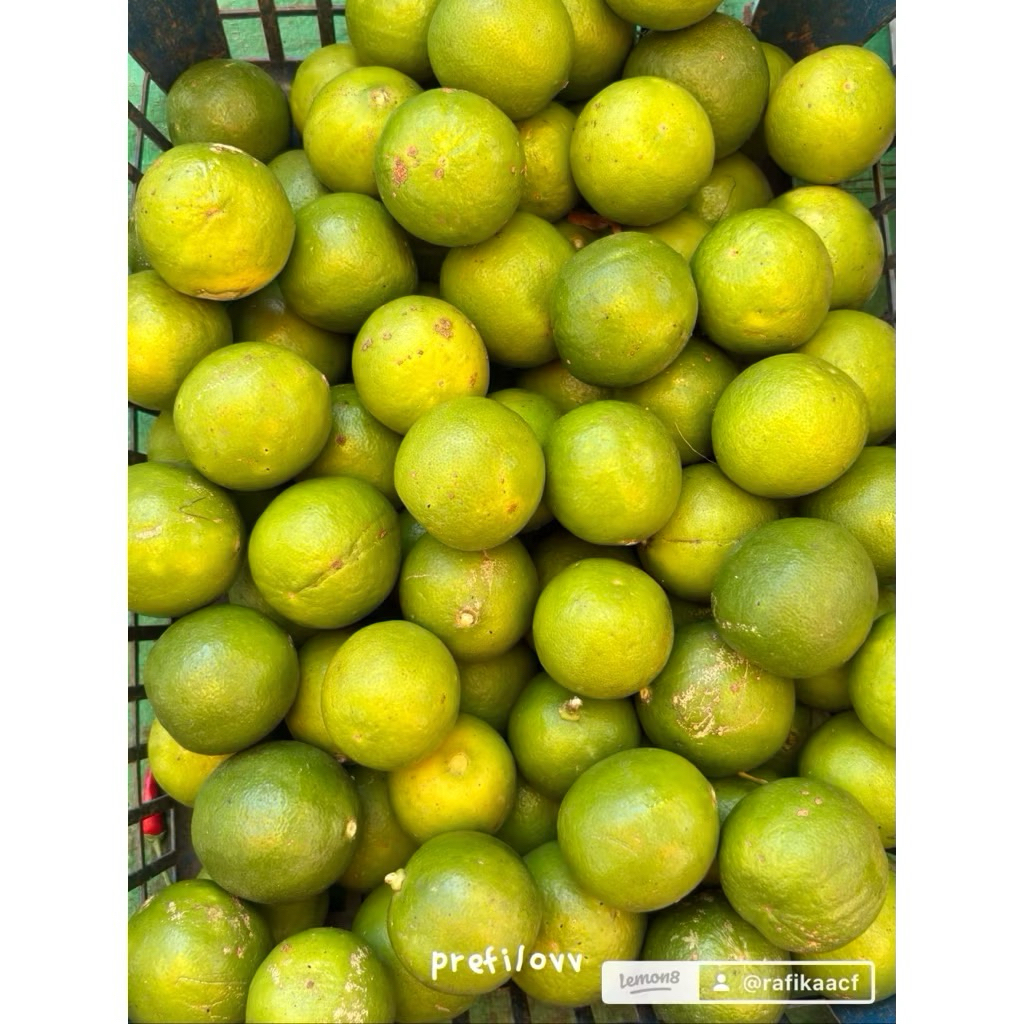 

Jeruk Nipis Segar 500g/1kg