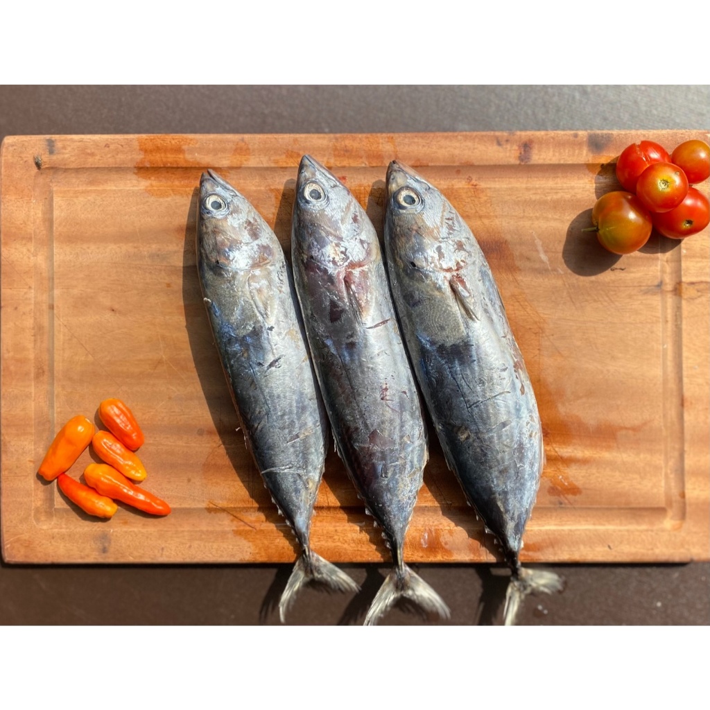 

Cakalang Fresh Quality Premium