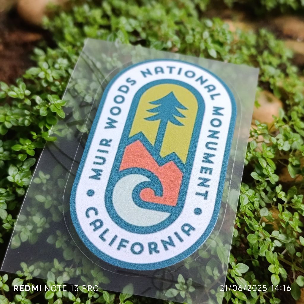 Stiker Kalcer Camper Jungle Wood