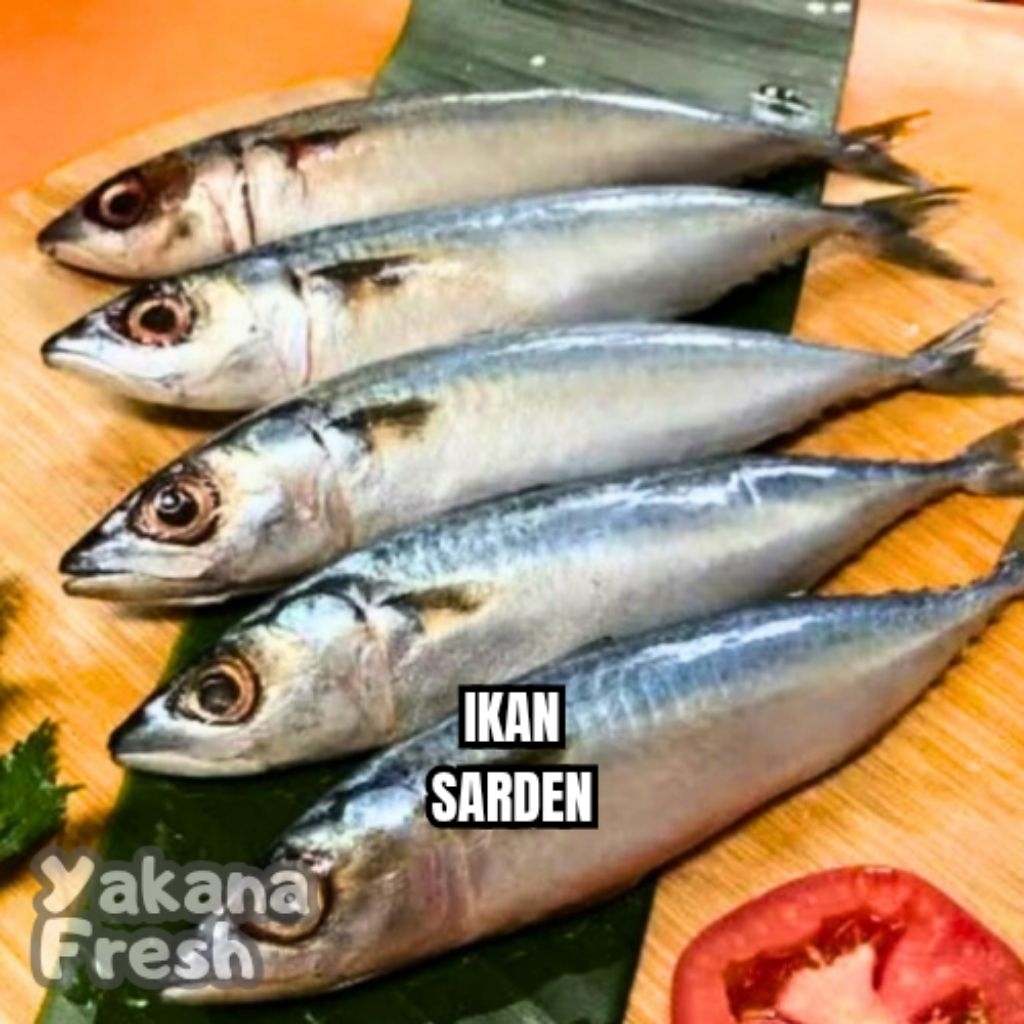 

Ikan Sarden Segar 500g