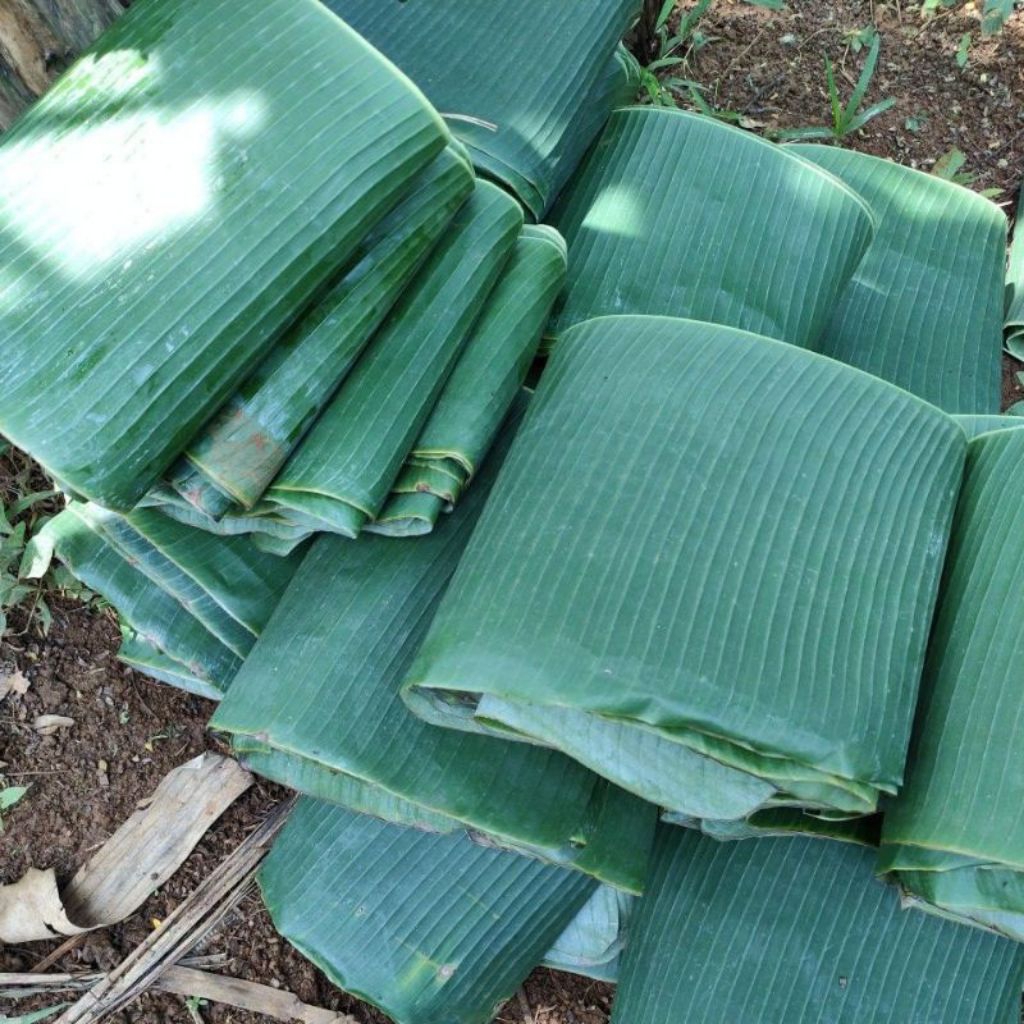 

daun pisang segar 1kg