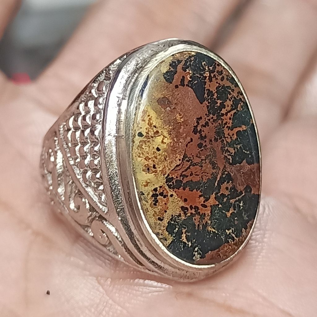 Pirus persia hitam urat merah