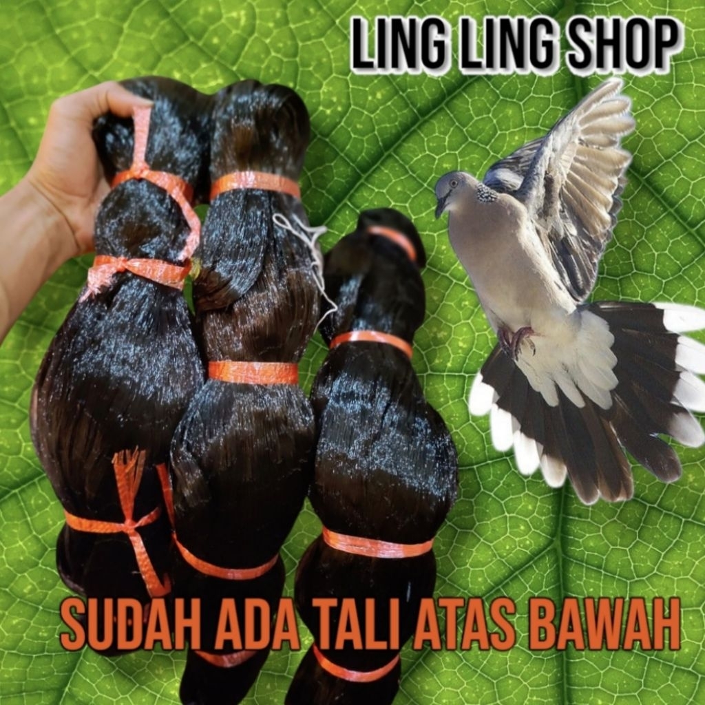 JARING BURUNG PERKUTUT PANJANG 50 M X 2 M UNTUK MENJARING BURUNG PERKUTUT