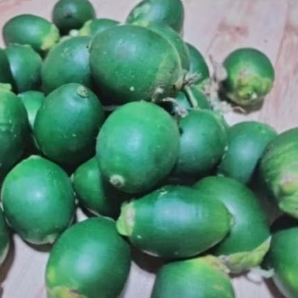 

Pinang muda . buah jame . kualitas fres. 1000 gram