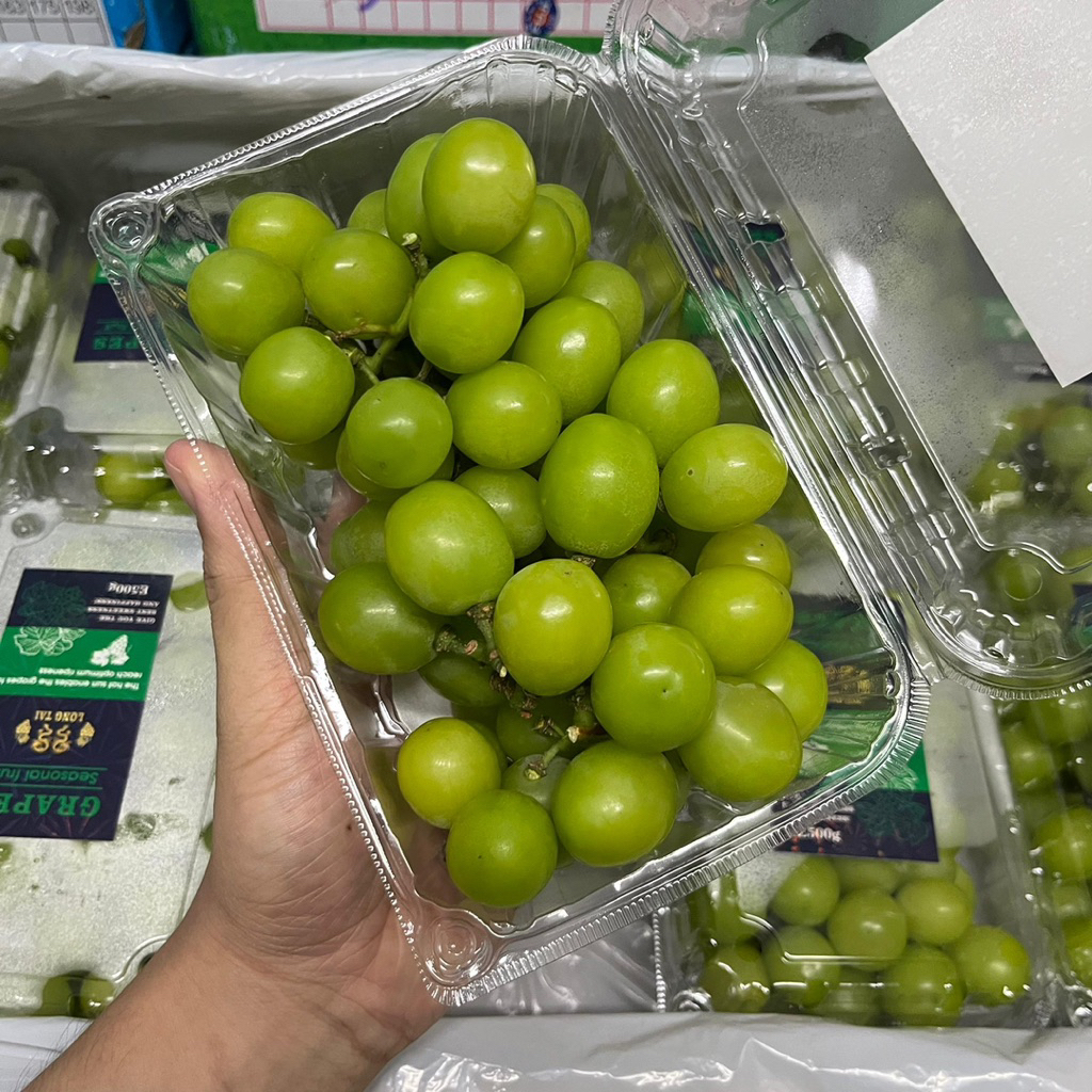 

ANGGUR MUSCAT LONGTAI PACK | Buah Anggur Grapes Fruit Enak Manis