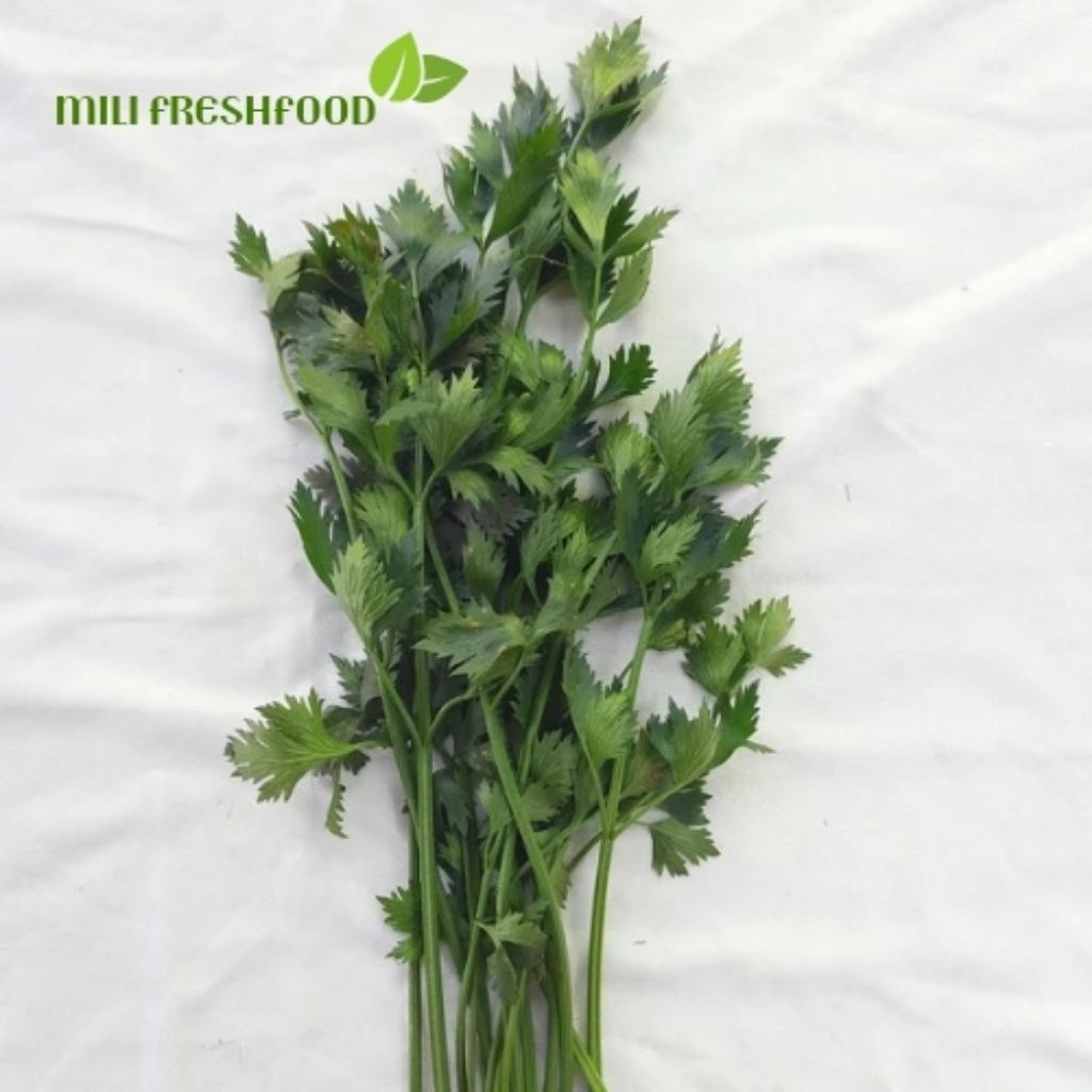 

Onclang dan Sledri daun bawang bumbu penyedap rasa