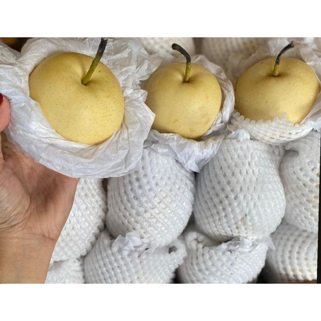 

PIR MADU CENTURY 1KG