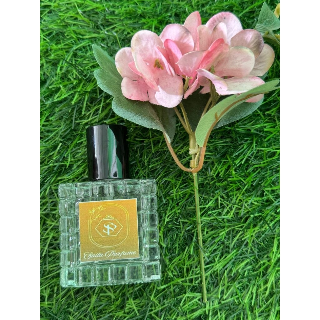 Parfum laki laki tahan lama aroma AIGNER BLACK PREMIUM