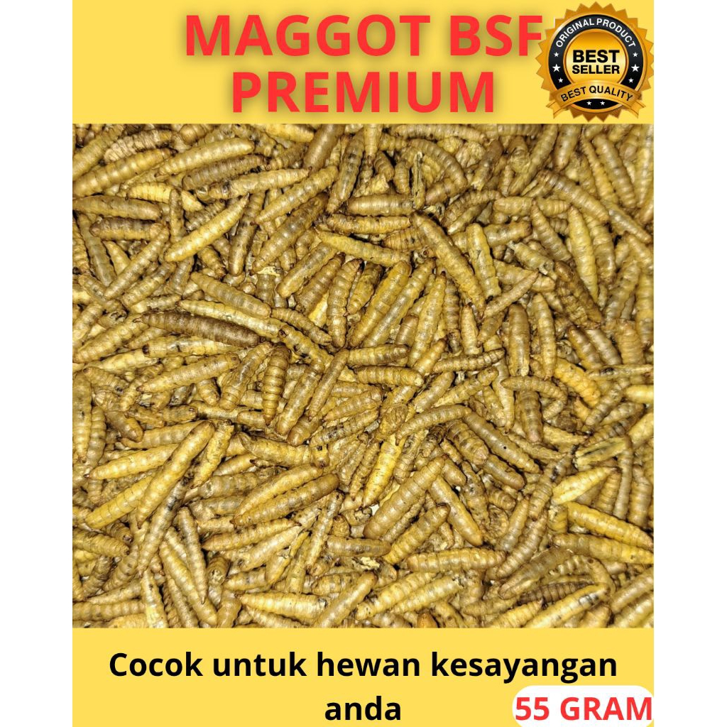 Maggot Premium Kering, Maggot BSF, maggot untuk pakan hamster, Burung, Ikan Predator dan Koi