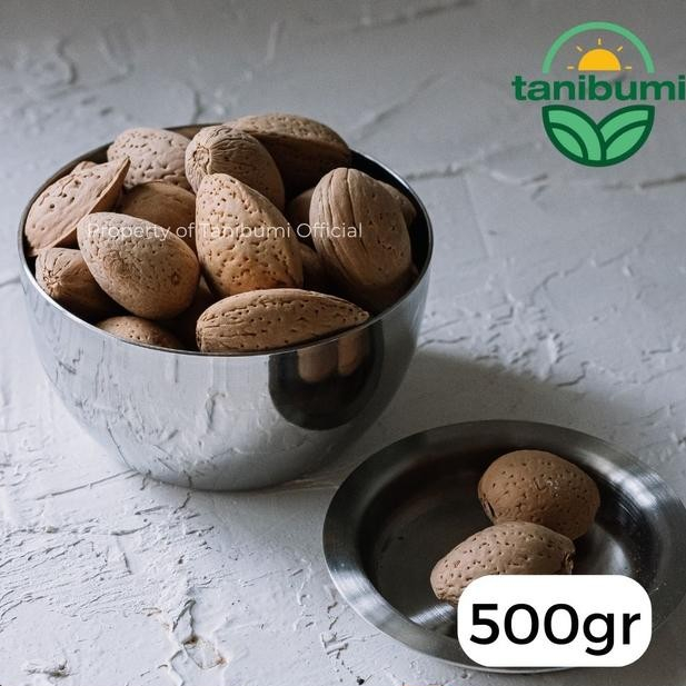 

Kacang Almond Cangkang Mentah 500G Whole Raw Shell Natural
