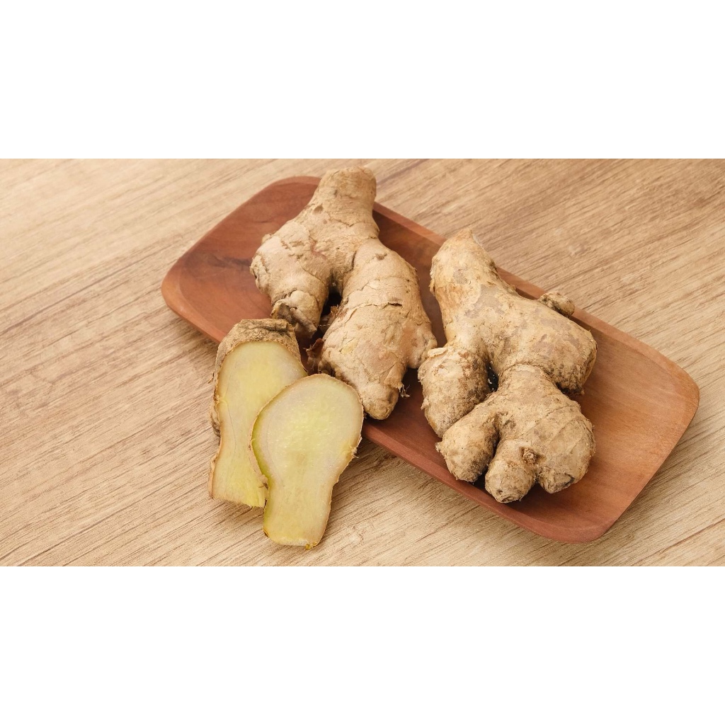 

KENCUR FRESH HARIAN PASAR 100 GR