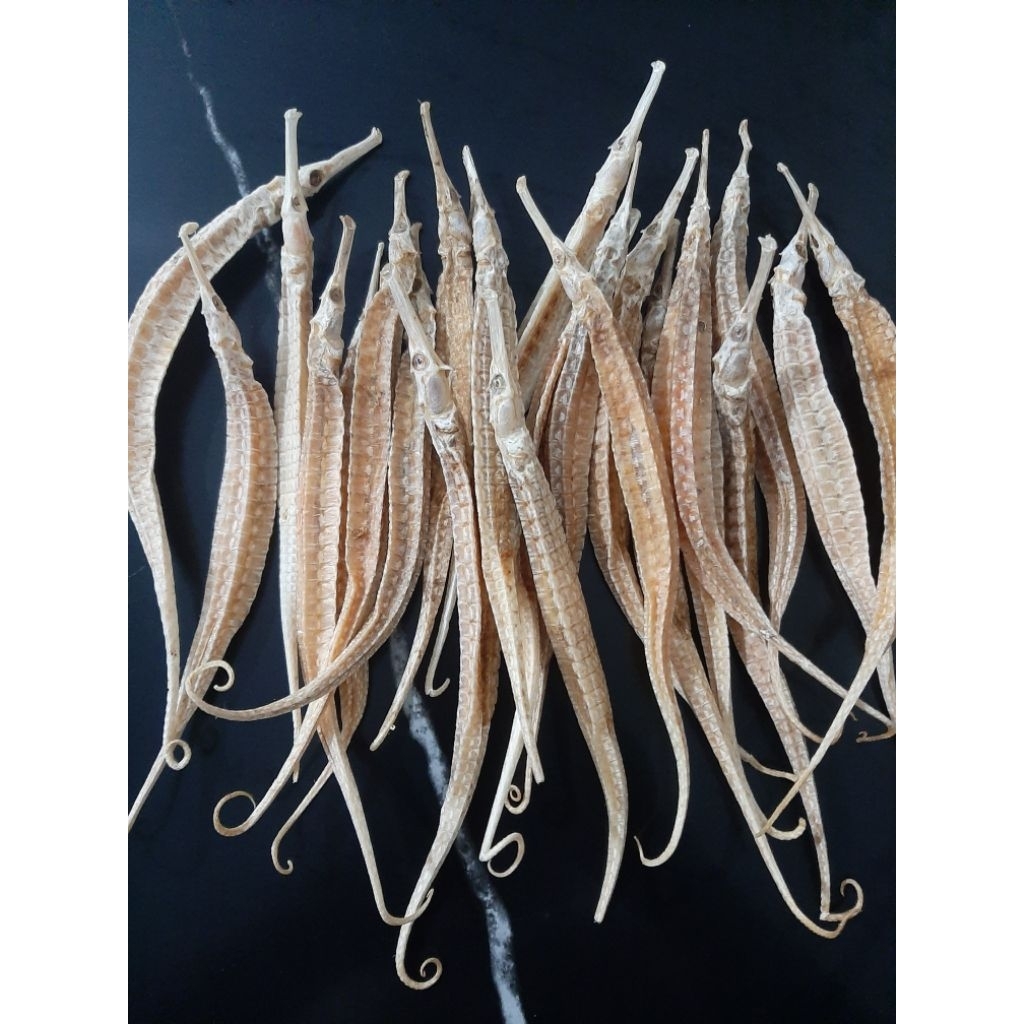 NAGA LAUT KERING SUPER 1PCS / HERBAL OBAT RACIKAN RENDAM