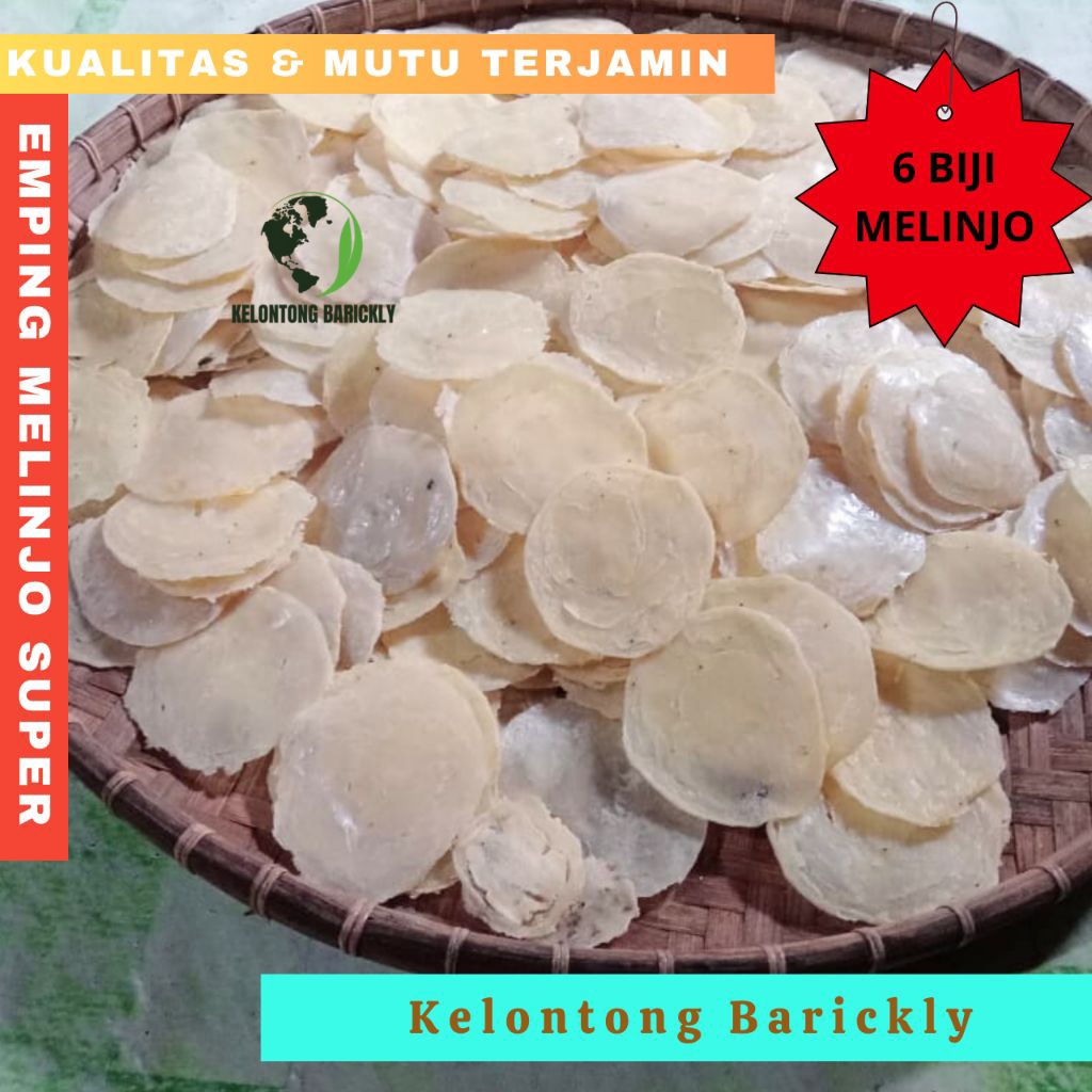 EMPING MELINJO SUPER EMPING MELINJO MENTAH SUPER BESAR SUPER JUMBO / EMPING MLINJO BESAR 4 BIJI