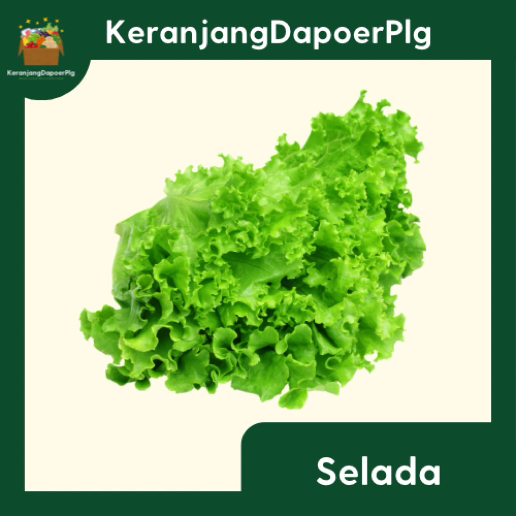 

SELADA TANAH 250 GRAM - KERANJANG DAPOER PALEMBANG