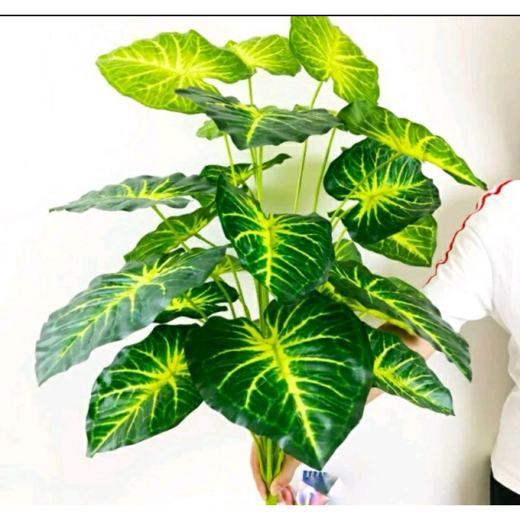 SS HOME STORE - DAUN MONSTERA AGLONEMA GELOMBANG CINTA HIAS TANAMAN HIJAU PLASTIK DEKORASI